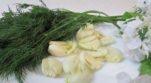 Маринованные огурцы без закатки. Быстрые маринованные огурцы – ТОП рецептов быстрого приготовления