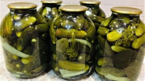 Кисло-сладкие огурцы на зиму без стерилизации. Огурцы на зиму без стерилизации — самый вкусный простой рецепт