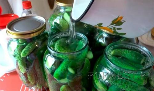 Огурцы на зиму хрустящие на 3 литровую банку. 8 самых хрустящих рецептов маринованных огурцов в банках на зиму 2022-2023