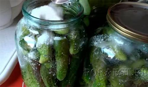 Огурцы на зиму хрустящие на 3 литровую банку. 8 самых хрустящих рецептов маринованных огурцов в банках на зиму 2022-2023