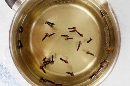 Маринованные сливы холодным способом. 15 лучших рецептов маринованных слив на зиму