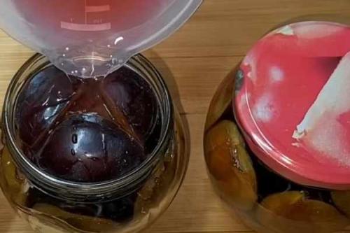 Маринованные сливы холодным способом. 15 лучших рецептов маринованных слив на зиму