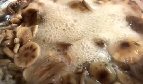 Соленые опята в банках на зиму. Соленые опята на зиму в банках 21 Соленые опята в банках на зиму. Соленые опята на зиму в банках 21