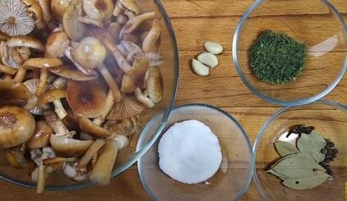 Опята соленые с чесноком на зиму. Опята, соленые на зиму – простые рецепты приготовления горячим и холодным способом