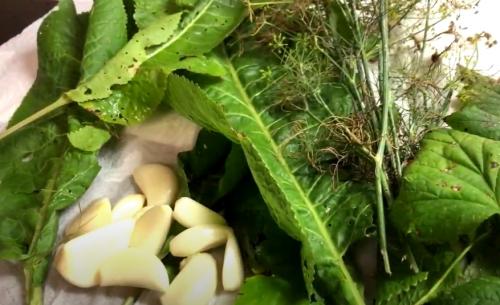 Соленые опята в банках на зиму. Соленые опята на зиму в банках 22 Соленые опята в банках на зиму. Соленые опята на зиму в банках 22