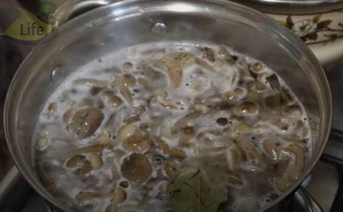 Опята соленые с чесноком на зиму. Опята, соленые на зиму – простые рецепты приготовления горячим и холодным способом