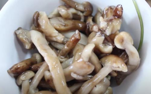 Соленые опята в банках на зиму. Соленые опята на зиму в банках 15 Соленые опята в банках на зиму. Соленые опята на зиму в банках 15