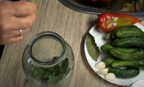 Огурцы без уксуса на зиму. Огурцы на зиму без уксуса — самые вкусные рецепты