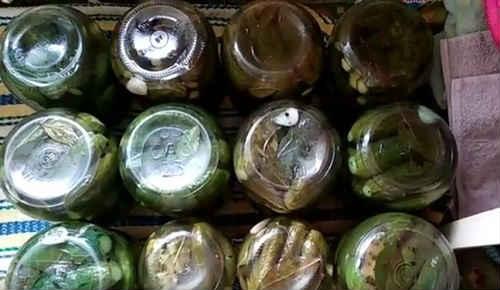 Сладкие огурцы на зиму без уксуса. Сладкие маринованные огурцы на зиму — очень вкусные рецепты