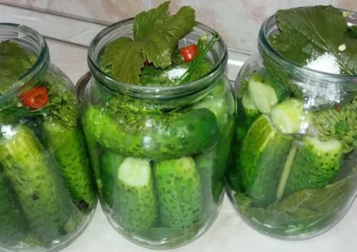 Огурцы без уксуса на зиму. Огурцы на зиму без уксуса — самые вкусные рецепты 36