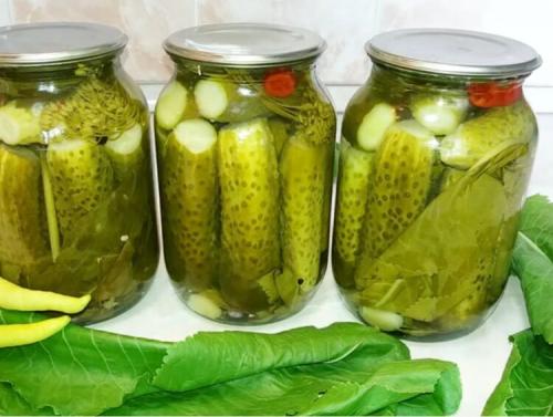 Огурцы без уксуса на зиму. Огурцы на зиму без уксуса — самые вкусные рецепты 38