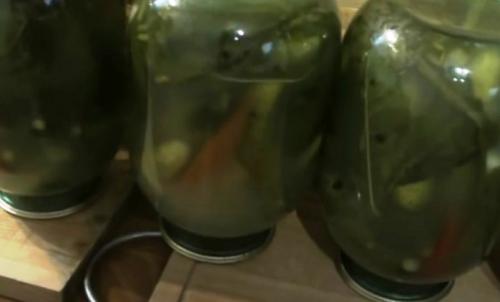 Огурцы без уксуса на зиму. Огурцы на зиму без уксуса — самые вкусные рецепты