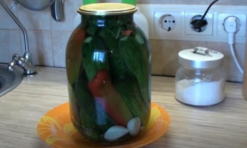 Огурцы без уксуса на зиму. Огурцы на зиму без уксуса — самые вкусные рецепты