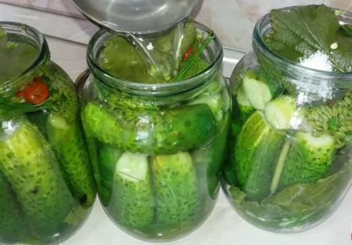Огурцы без уксуса на зиму. Огурцы на зиму без уксуса — самые вкусные рецепты 37