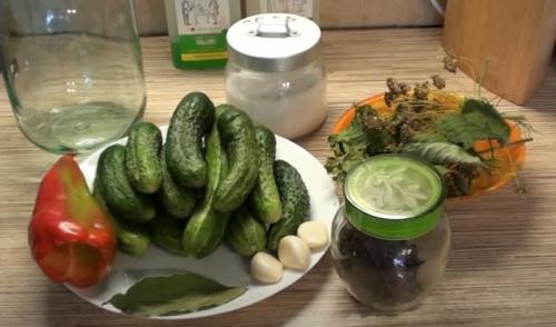 Огурцы без уксуса на зиму. Огурцы на зиму без уксуса — самые вкусные рецепты