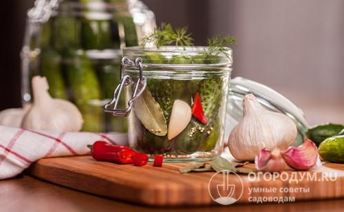 Огурцы на зиму без уксуса с горчицей. Рецепты