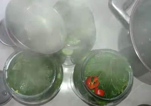 Огурцы без уксуса на зиму. Огурцы на зиму без уксуса — самые вкусные рецепты 35