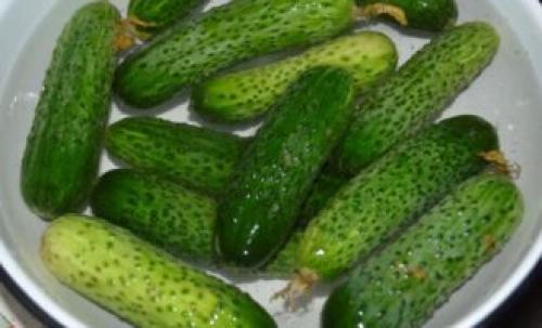 Огурцы без варки на зиму. Салат из огурцов на зиму без стерилизации и варки – рецепт пошагово с фото 20 Огурцы без варки на зиму. Салат из огурцов на зиму без стерилизации и варки – рецепт пошагово с фото 20