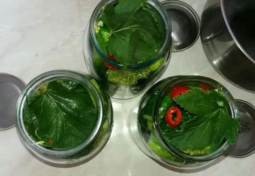 Огурцы без уксуса на зиму. Огурцы на зиму без уксуса — самые вкусные рецепты 34