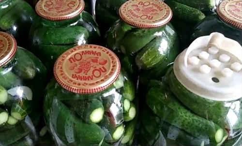 Сладкие огурцы на зиму без уксуса. Сладкие маринованные огурцы на зиму — очень вкусные рецепты