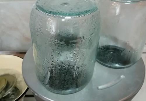 Огурцы без уксуса на зиму. Огурцы на зиму без уксуса — самые вкусные рецепты 32