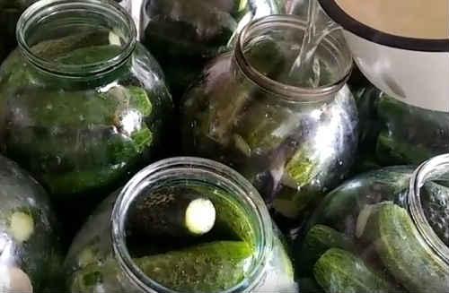Сладкие огурцы на зиму без уксуса. Сладкие маринованные огурцы на зиму — очень вкусные рецепты