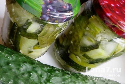 Салат из переросших огурцов на зиму без стерилизации. Салат на зиму из переросших огурцов: рецепты