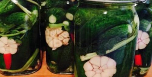 Какие недостатки имеет хранения продуктов без стерилизации банки. Стеклянная банка