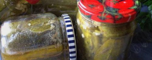 Маринованные огурцы сладкие хрустящие с горчицей. Огурцы с горчицей на зиму – 8 очень вкусных рецептов в банках