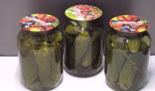 Огурцы на зиму без стерилизации на 1 литровую банку. Хрустящие маринованные огурцы на зиму без стерилизации – рецепт на 1 литр воды