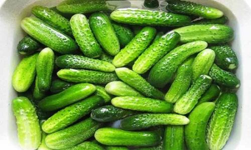 Маринованные огурцы с уксусом без стерилизации. Маринованные огурцы на зиму без стерилизации — 5 рецептов хрустящих огурцов в банках