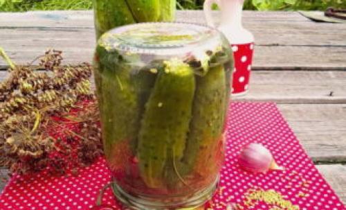 Маринованные огурцы сладкие хрустящие с горчицей. Огурцы с горчицей на зиму – 8 очень вкусных рецептов в банках