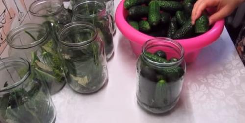 Огурцы на зиму без стерилизации на 1 литровую банку. Хрустящие маринованные огурцы на зиму без стерилизации – рецепт на 1 литр воды