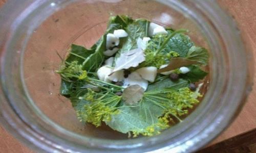 Маринованные огурцы с уксусом без стерилизации. Маринованные огурцы на зиму без стерилизации — 5 рецептов хрустящих огурцов в банках