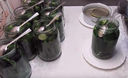 Пропорции соли, сахара и уксуса для огурцов на литровую банку. Ингредиенты: