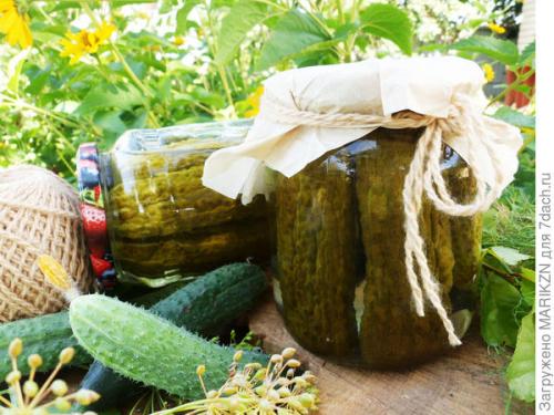 Сладкие маринованные огурцы с чесноком