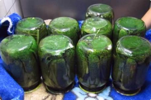 Пропорции соли, сахара и уксуса для огурцов на литровую банку. Ингредиенты: