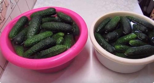 Пропорции соли, сахара и уксуса для огурцов на литровую банку. Ингредиенты: