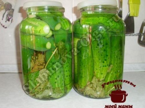 Быстрый маринад для огурцов без закрутки в банке. Маринованные огурцы без закатки