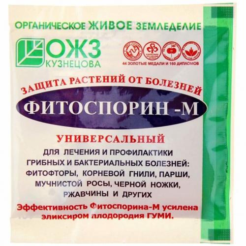 Обработка луковиц гладиолусов. Обработка гладиолусов весной перед посадкой: составы подкормки и советы по выбору средств по уходу за цветком