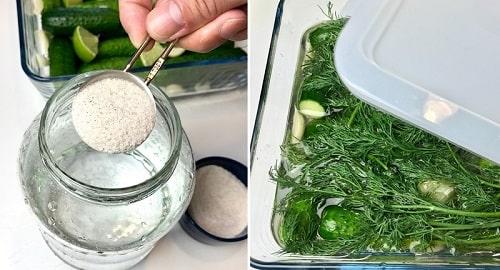 Маринованные огурцы без закатки с уксусом. Быстрые маринованные огурцы – ТОП рецептов быстрого приготовления
