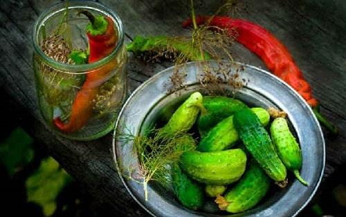 Маринованные огурцы без закатки с уксусом. Быстрые маринованные огурцы – ТОП рецептов быстрого приготовления