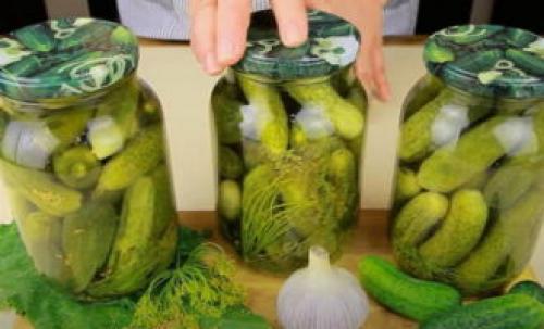 Маринованные огурцы сладкие хрустящие. Сладкие огурцы на зиму маринованные – 8 рецептов хрустящих огурцов