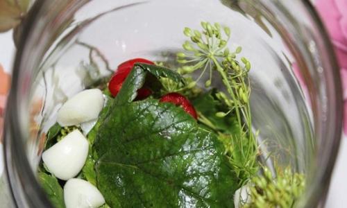 Огурцы на зиму хрустящие без стерилизации. Маринованные огурцы на зиму без стерилизации — 5 рецептов хрустящих огурцов в банках