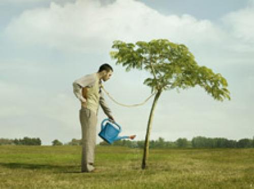 Компост с вареньем. КАК ИСПОЛЬЗОВАТЬ СТАРОЕ ВАРЕНЬЕ В ОГОРОДЕ 12 Компост с вареньем. КАК ИСПОЛЬЗОВАТЬ СТАРОЕ ВАРЕНЬЕ В ОГОРОДЕ 12