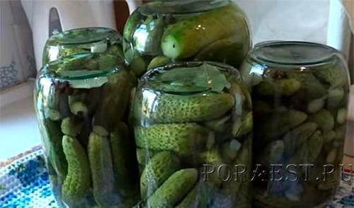 Огурцы на зиму хрустящие на 3 литровую банку. 8 самых хрустящих рецептов маринованных огурцов в банках на зиму 2022-2023