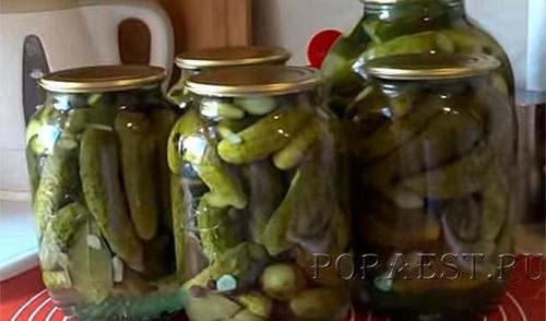 Огурцы на зиму хрустящие на 3 литровую банку. 8 самых хрустящих рецептов маринованных огурцов в банках на зиму 2022-2023
