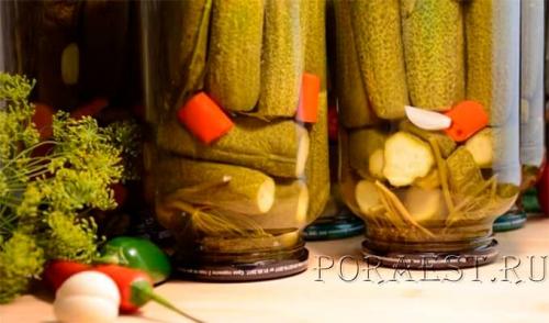 Огурцы на зиму хрустящие на 3 литровую банку. 8 самых хрустящих рецептов маринованных огурцов в банках на зиму 2022-2023