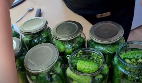 Огурцы без хрена на зиму. Хрустят без хрена. Огурцы на зиму в банках закрываю только так: другие варианты не признаю.