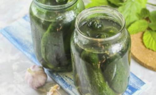 Засолка огурцов холодным способом под капроновую крышку. Соленые огурцы холодным способом на зиму – 8 очень вкусных рецептов